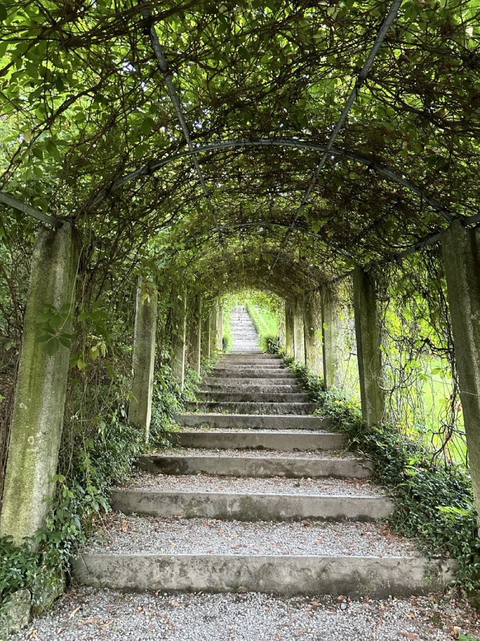 Grüner Laubengang mit Steintreppe
